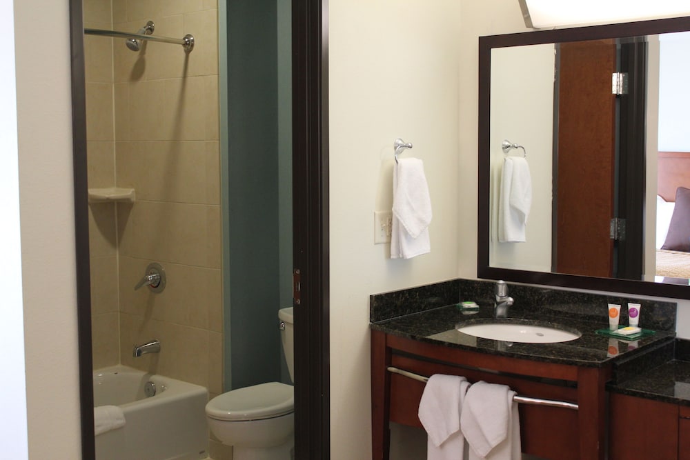 Hyatt Place Dallas Garland Richardson - photo 6