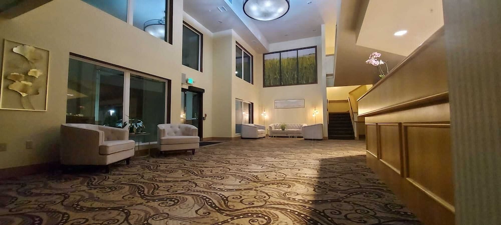 Hotel Mar Vista - photo 6