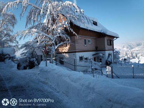 Ferienhaus Wetzel — Weiler-Simmerberg — photo 2