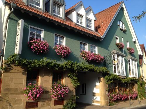 Adler Botenheim - carbon neutral hotel in Brackenheim