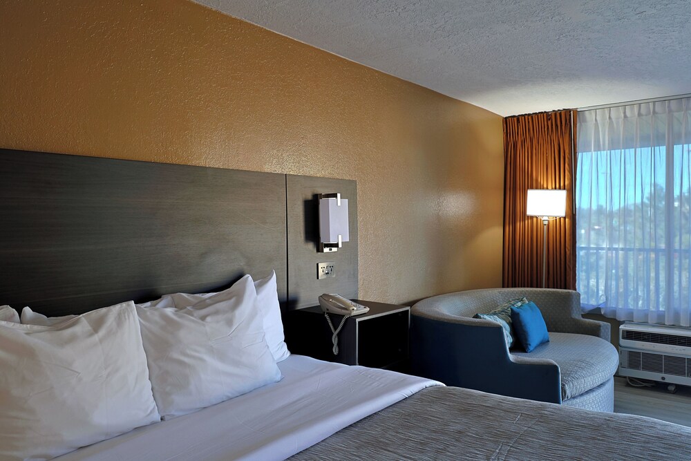 Quality Inn Kennedy Space Center - photo 33