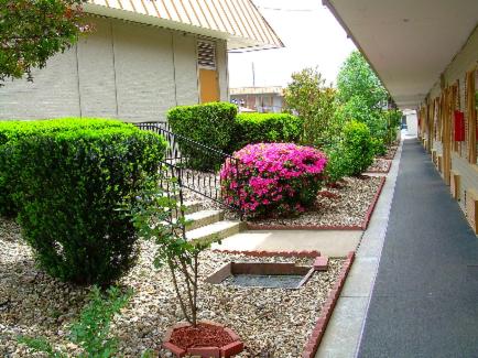 Executive Inn and Suites Springdale - photo 19