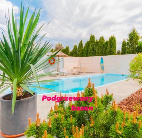 Puszczykowo in Stegna, Poland