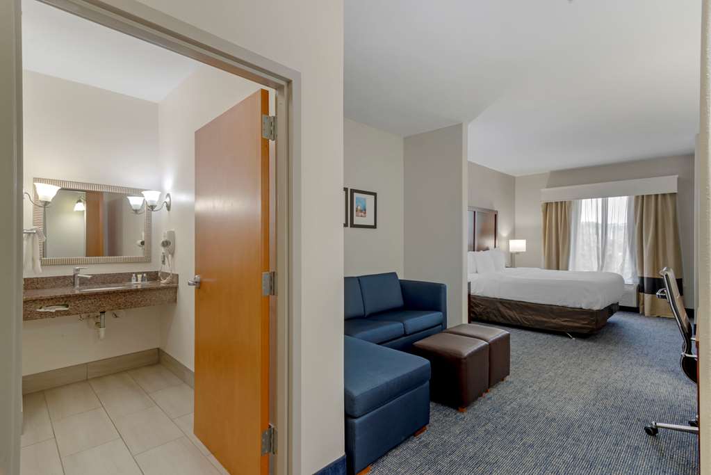 Comfort Suites Stockbridge Atlanta South - photo 36