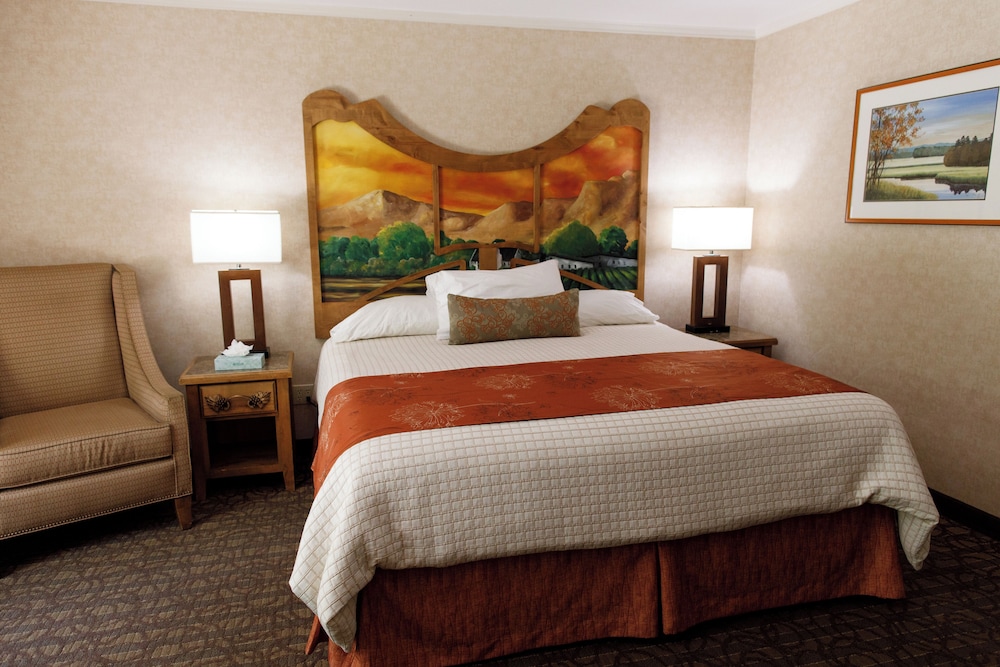 El Bonita Motel - photo 19