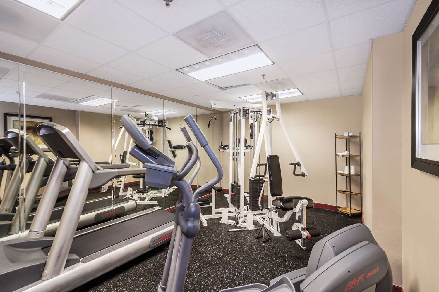 Comfort Inn and Suites Maingate South - photo 18