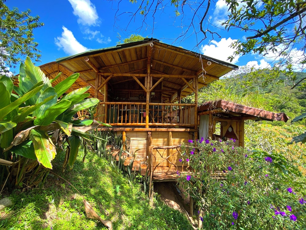 Aracari Ecolodge — San Rafael — photo 2
