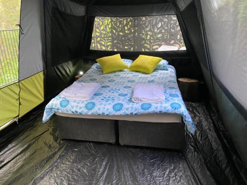 Trees Rd Glamping - last minute hotel in Tallebudgera