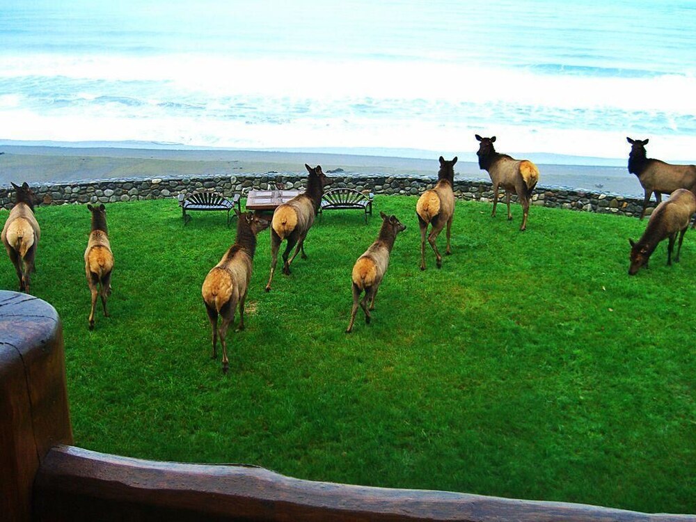 Gold Beach Oceanfront Estate Mv28 - photo 16