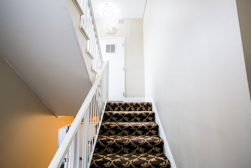 The Hotel Hollywood - photo 43