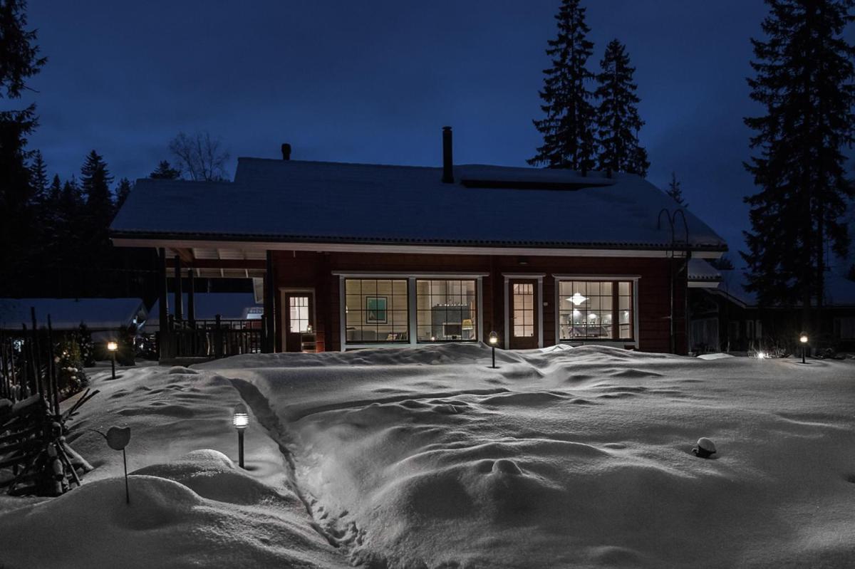 Aava Koli — Lieksa — photo 4