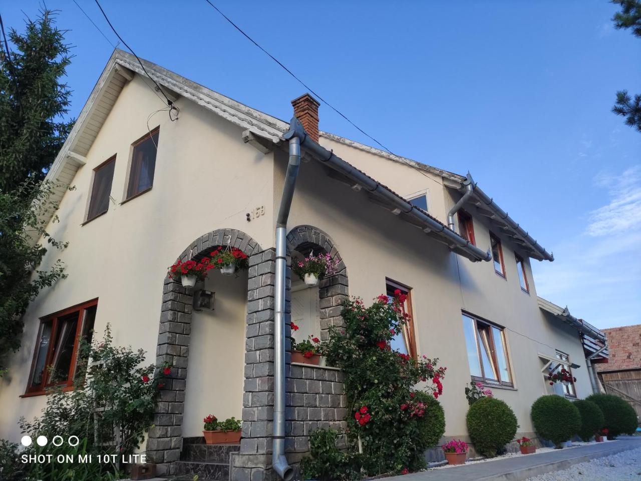 Rita Vendeghaz in Ciumani, Romania