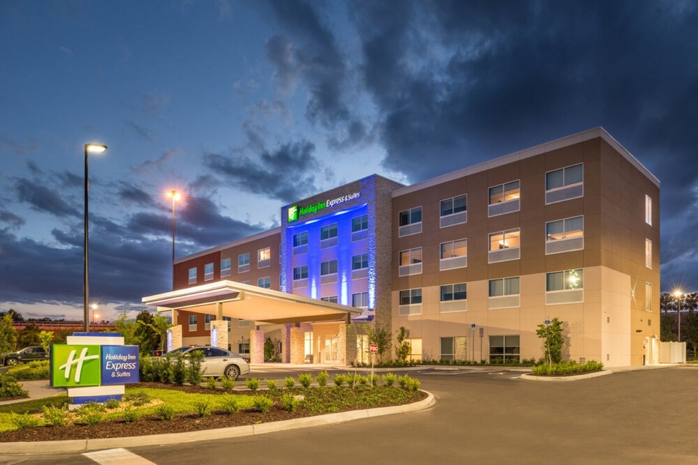 Holiday Inn Express & Suites Tampa North Wesley Chapel by IHG - photo 35