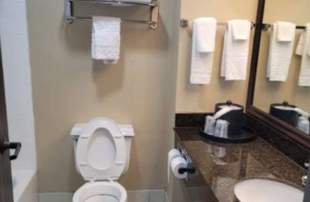 Best Western Plus Mishawaka Inn - photo 22