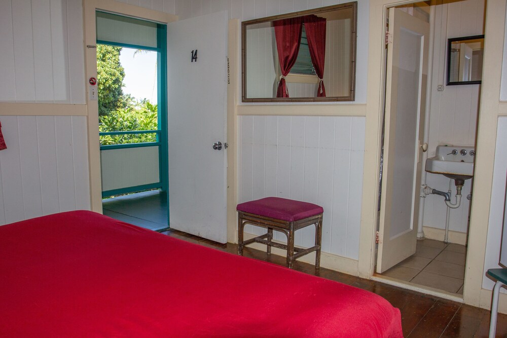 Wild Ginger Inn Hotel - photo 15