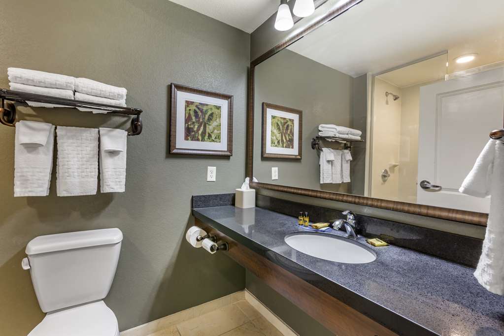 Best Western Plus Chandler Hotel & Suites - photo 36