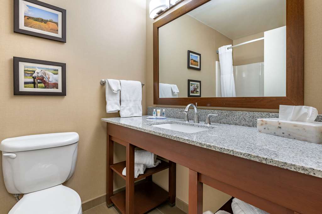 Comfort Inn & Suites Northern Kentucky - photo 19