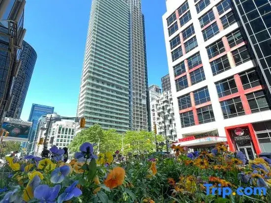 2BR Fantastic View of CN Tower and Roger Centre — 4-Star Luxury Hotel in Toronto, Canada