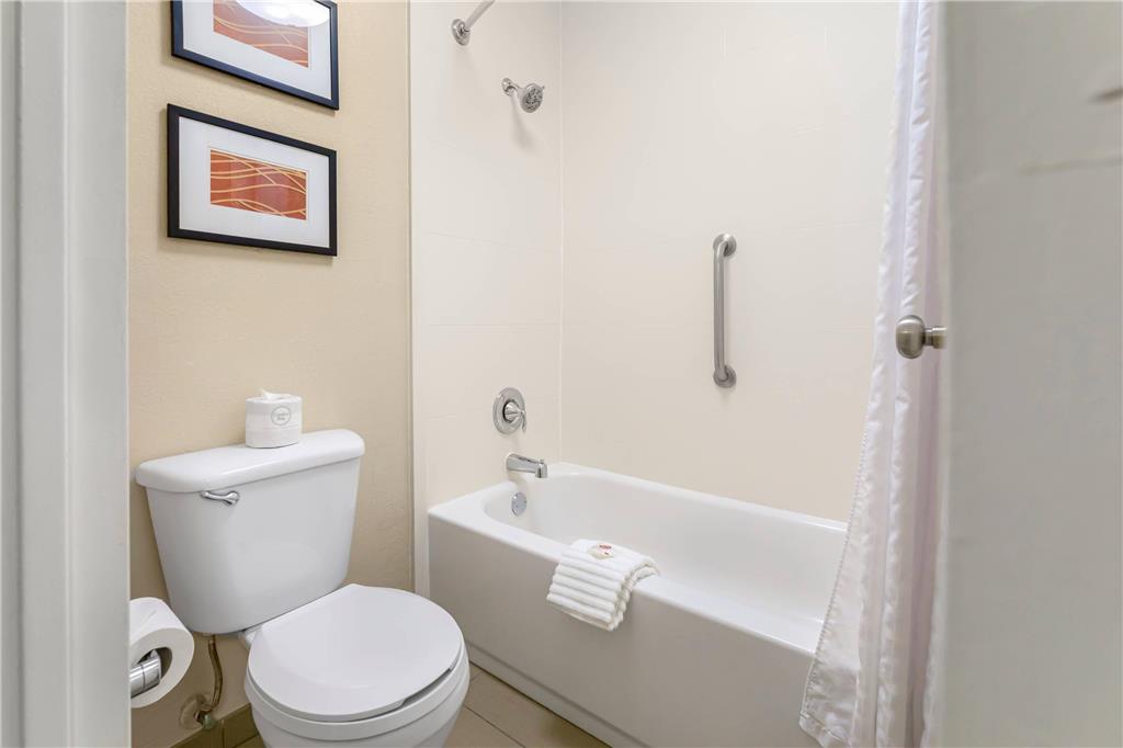 Comfort Inn Memphis Downtown - photo 29