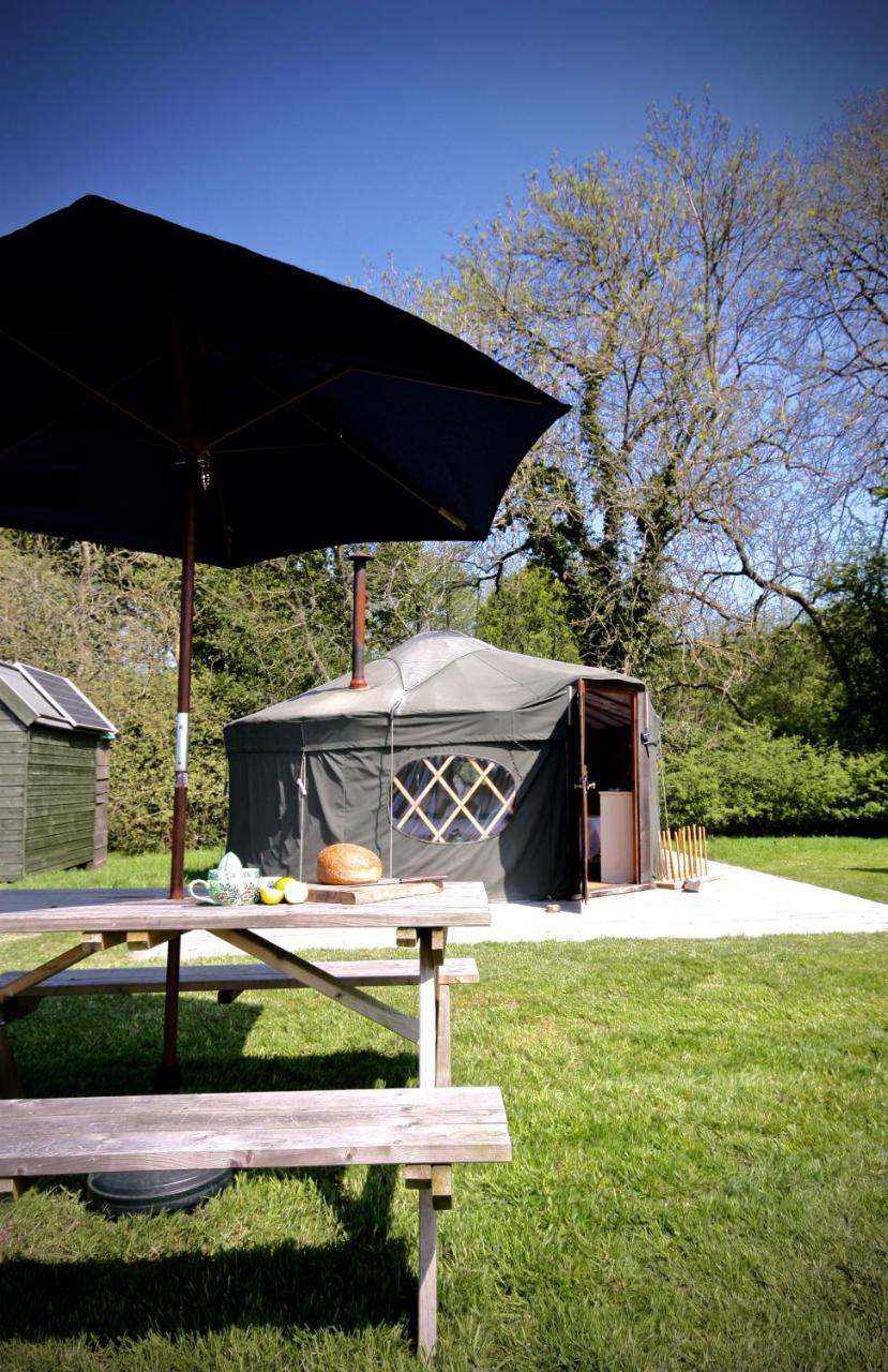 Beech Yurt - carbon neutral hotel in Fernhurst