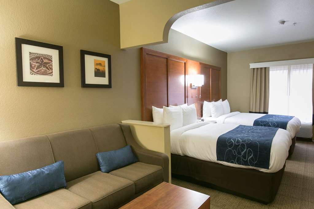 Comfort Suites Austin NW Lakeline - photo 16
