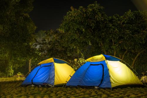 Dandeli Wild River Resort — Dandeli — photo 4