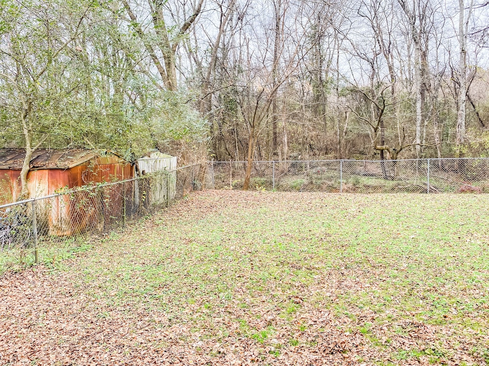 Boswell Bliss - photo 32