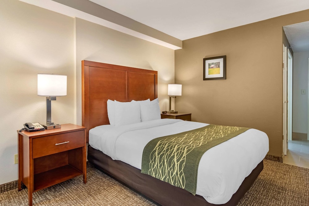 Comfort Inn Douglasville Atlanta West - photo 14