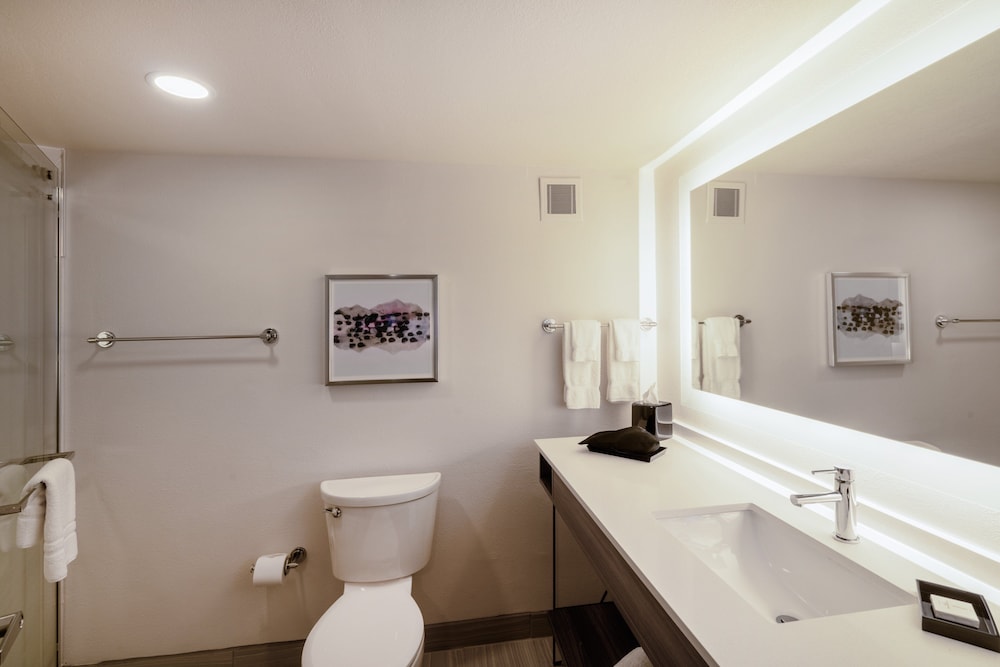 Crowne Plaza Atlanta NE Norcross by IHG - photo 3