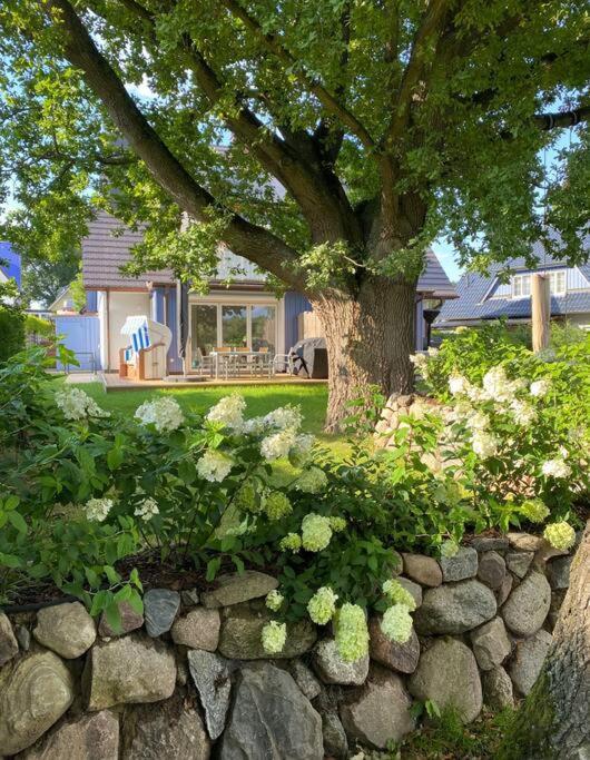 Traumhaus Auri in Prerow Ostsee auf dem Darß mit Kamin und Sauna und Garten — carbon neutral stay, Ostseebad Prerow