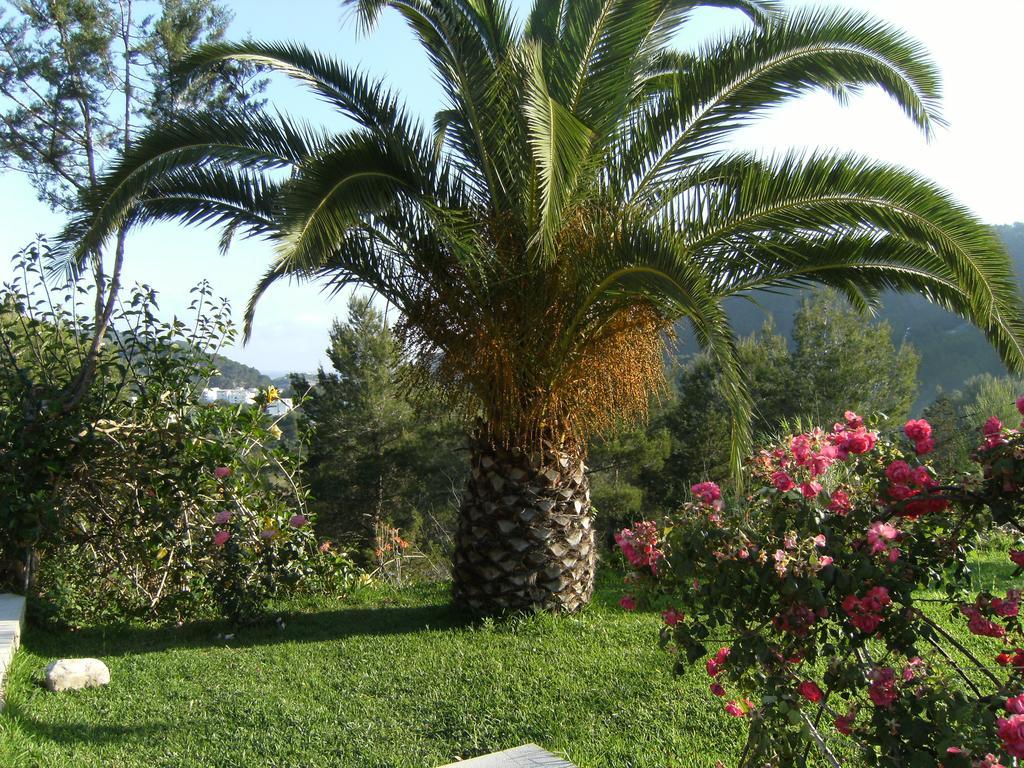 Hotel Rural Can Maries — hotel in San Miguel De Salinas