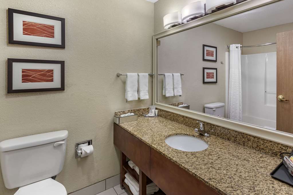 Comfort Inn Denver West Arvada Station - photo 45