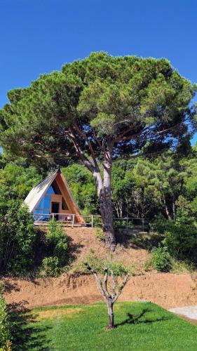 Glamping Fonte Murata in Portoferraio, Italy