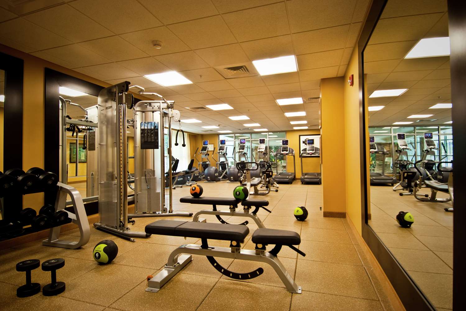 Homewood Suites by Hilton Rockville Gaithersburg - photo 14