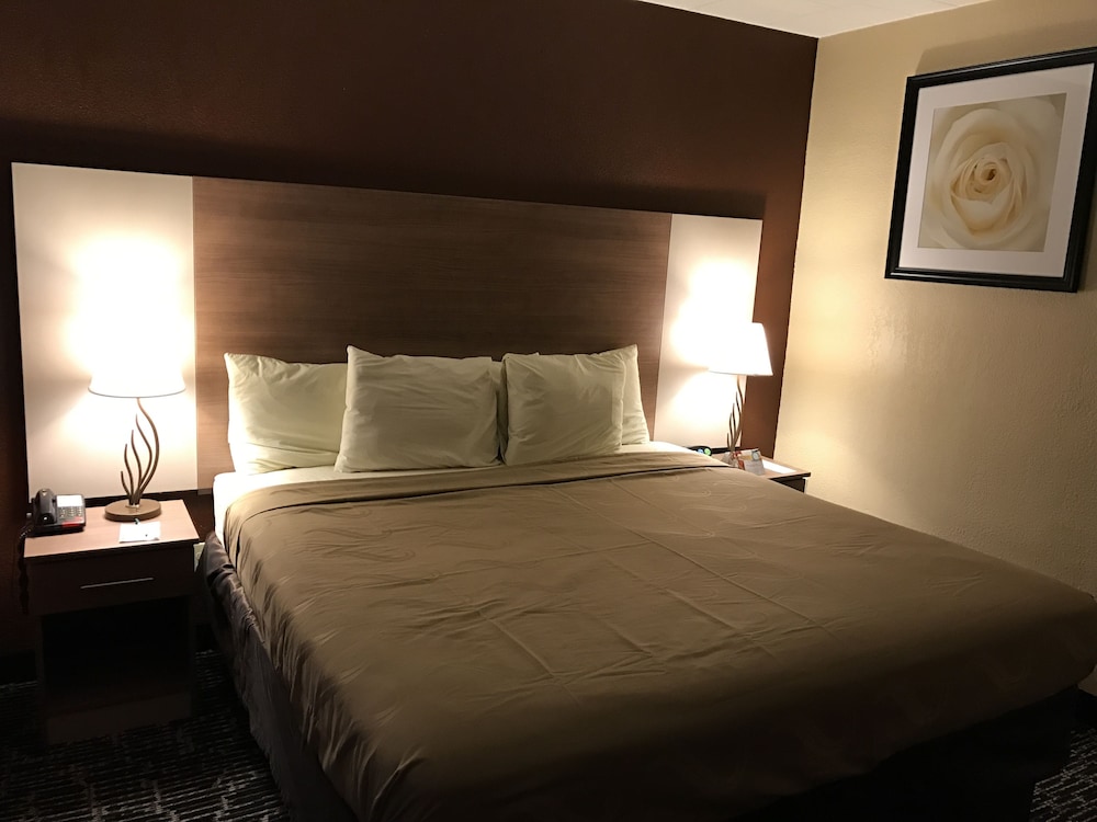 Quality Inn Near Pimlico Racetrack - photo 8