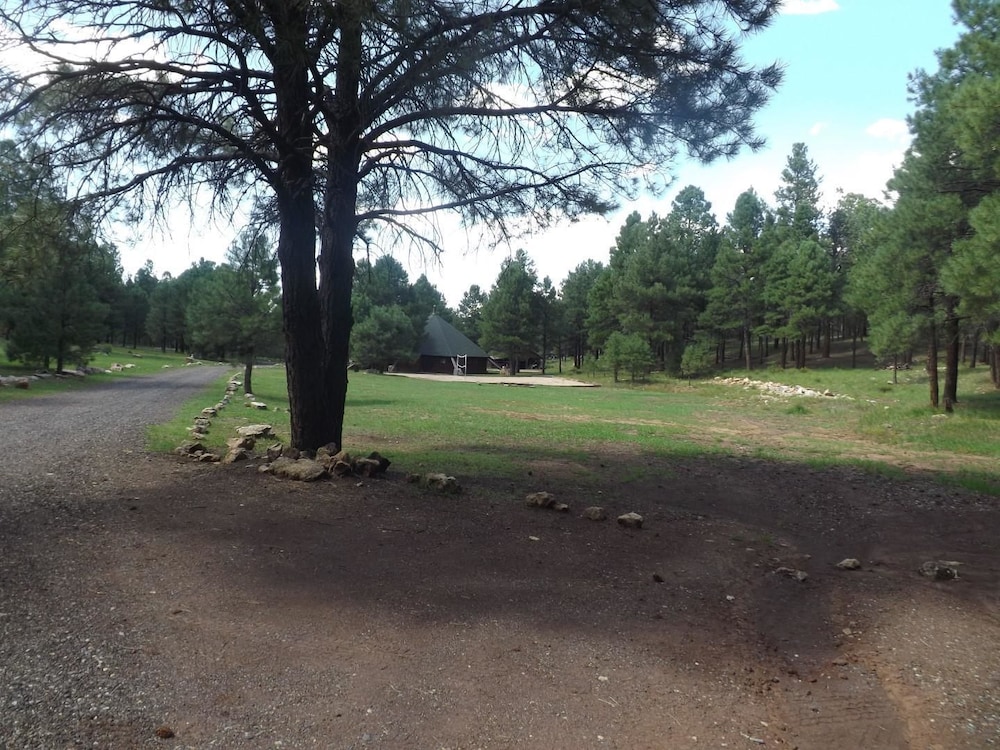 Arizona Mountain Inn and Cabins - photo 211