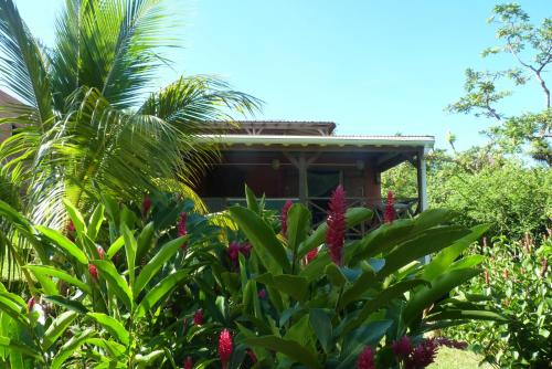 Gîte 1001 Nuits Sherazade — 4-Star Luxury Hotel in Bouillante, Guadeloupe