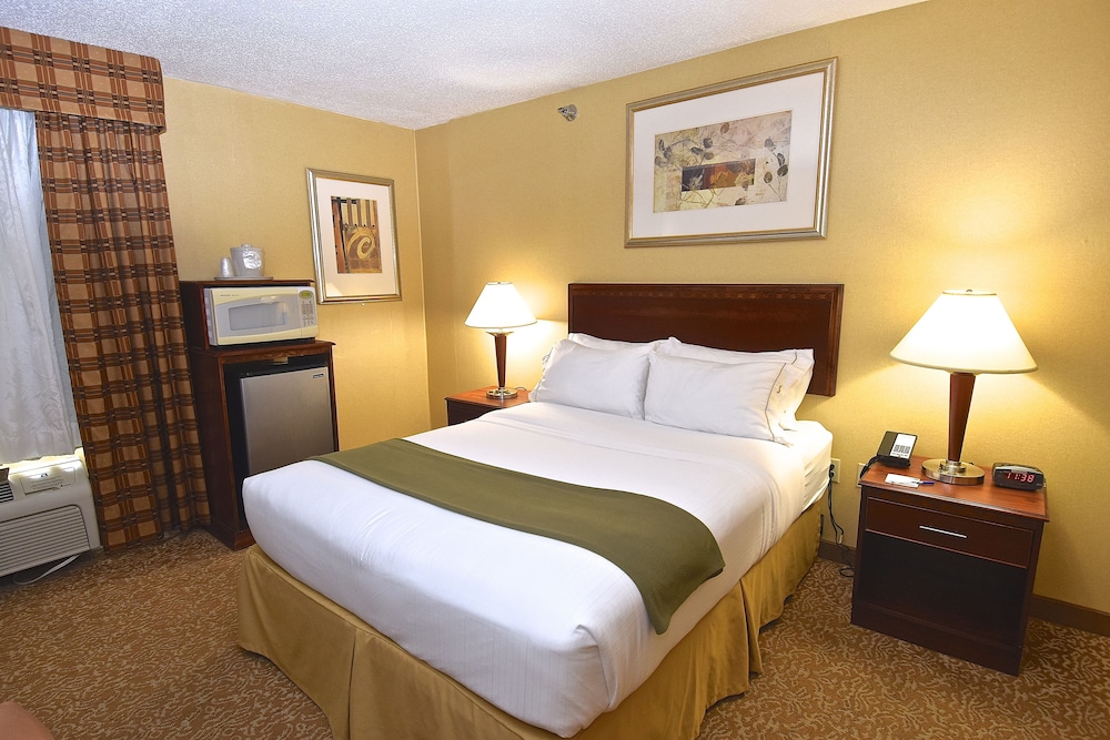 Holiday Inn Express & Suites St. Louis West Fenton an IHG Hotel - photo 5