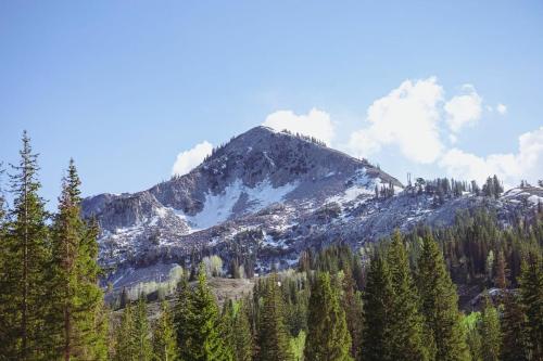 Brighton Ski Resort Hidden Falls 1 Bedroom Chalet Utah — Brighton — photo 4