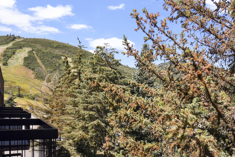 Shadow Ridge by Luxury Mountain Destinat - photo 34