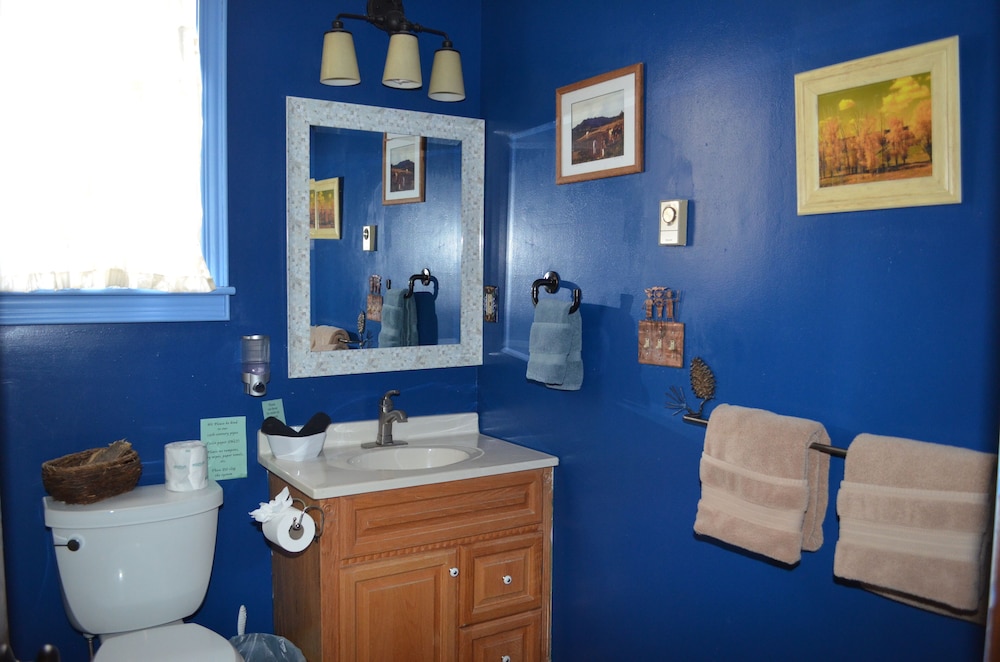 Ouray Main Street Inn - photo 125