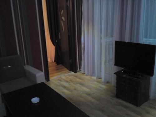Apartment Sofi