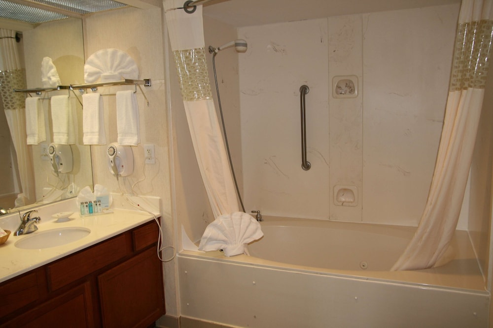 Hampton Inn & Suites Atlanta Galleria - photo 26