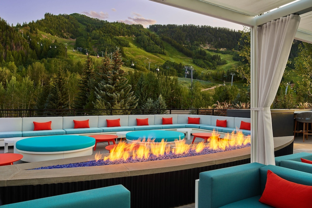 The Sky Residences at W Aspen - photo 37