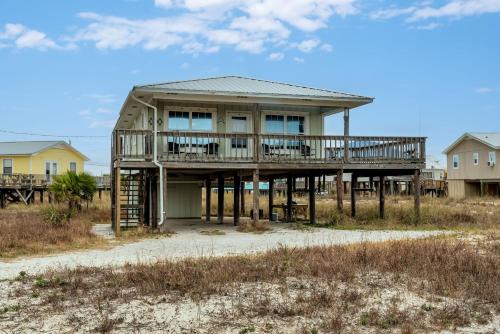 Sand Digs in Dauphin Island, United States