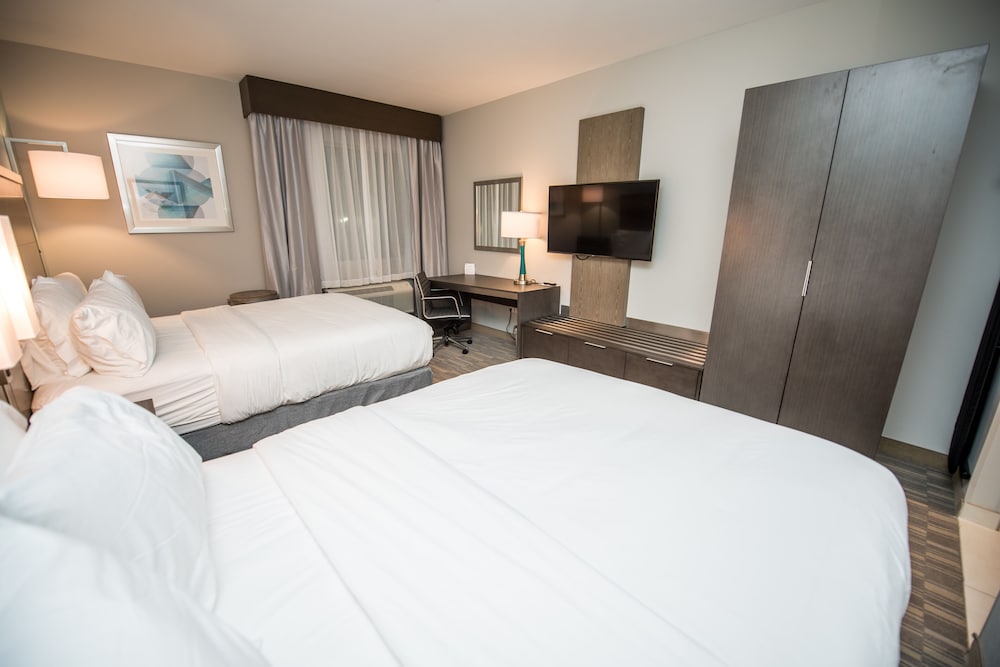 Holiday Inn Express & Suites Lake Charles South Casino Area by IHG - photo 50
