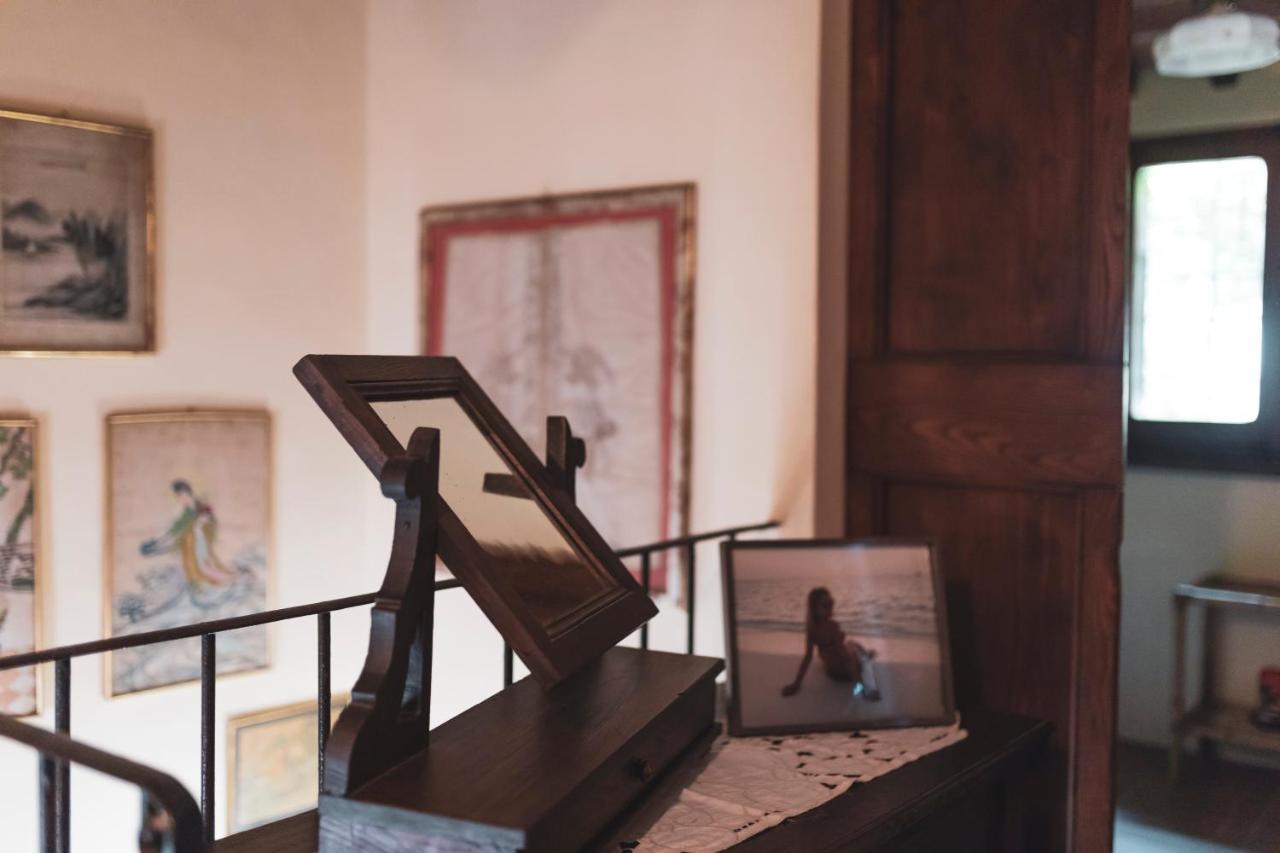 Domus Bononiae in Bagnoregio, Italy