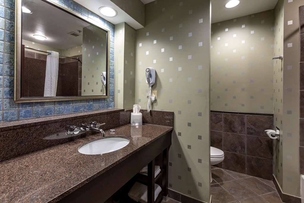Comfort Suites Perrysburg Toledo South - photo 8