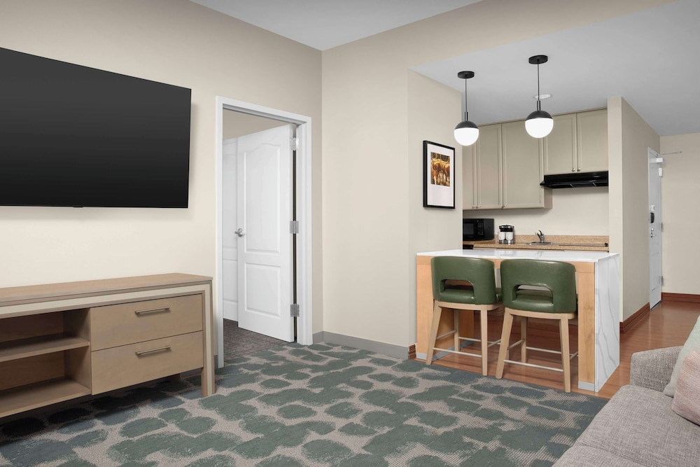 Homewood Suites by Hilton Irving DFW Airport - photo 13