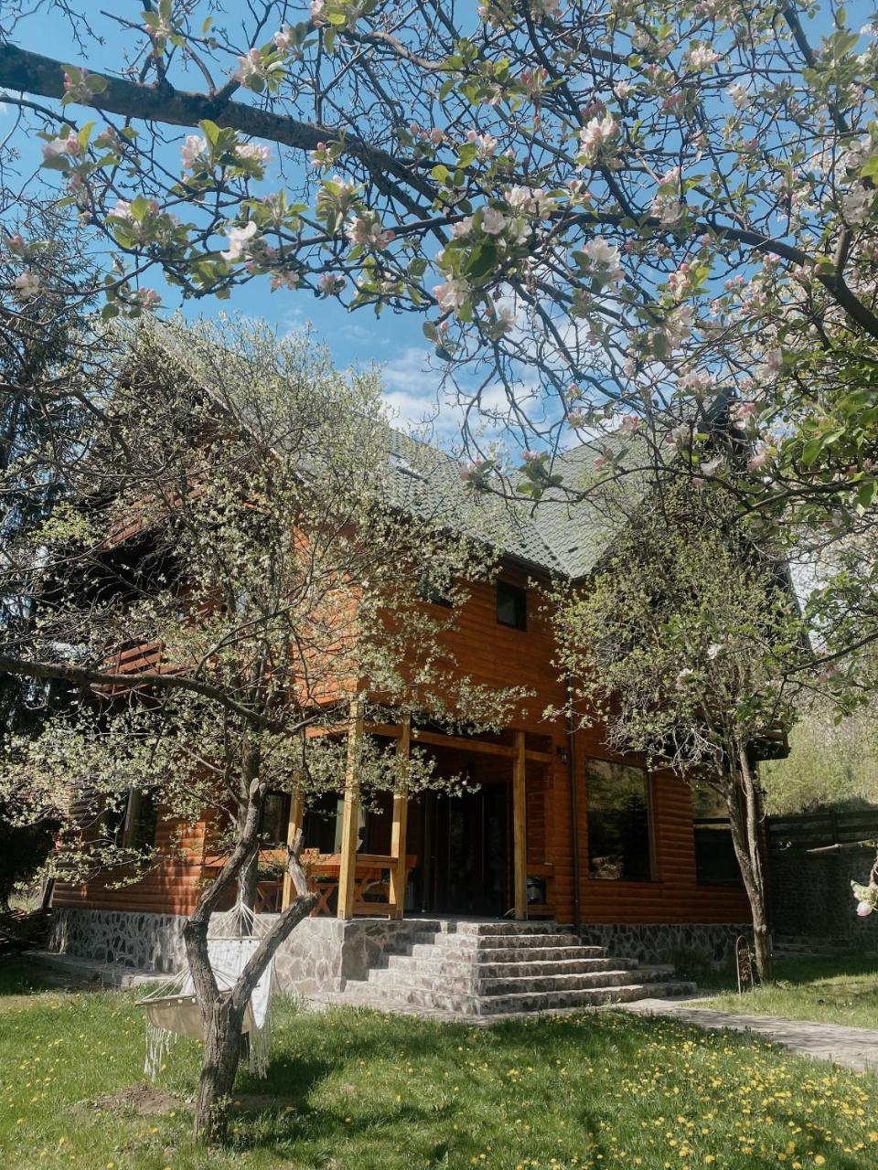 Cabana Bistra — hotel in Bistra Muresului